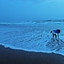 Serene And Beautiful