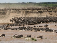 Serengeti National Park Serengeti National Park