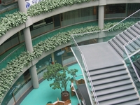 Simon Fraser University