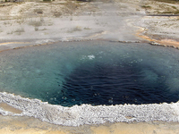 Shield Geyser