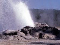 Shoshone Geyser