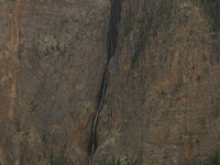 Silver Cord Cascade
