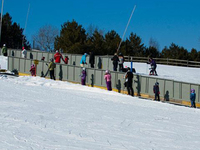 Ski Butternut
