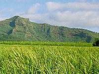 Kapaa Kapaa