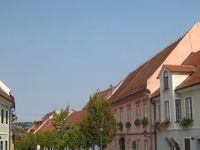 Slovenske Konjice