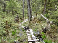 Soda Lake Trail