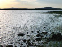 Soldier Annex Lake Soldier Annex Lake