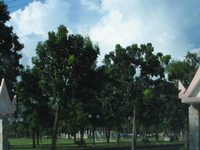 Somdet Phra Sri Nagarindra Park