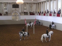 Spanish Riding School