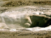 Spasmodic Geyser Spasmodic Geyser