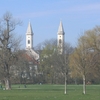 Northern Schönfeldwiese