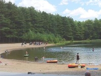Stratton Brook State Park