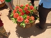 Mahabaleshwar 3 Days Ultimate Budget Plan Mahabaleshwar 3 Days Ultimate Budget Plan