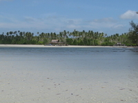 Bintan Island
