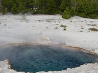 Surprise Pool