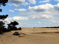 Hoge Veluwe National Park Hoge Veluwe National Park