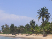 San Pedro