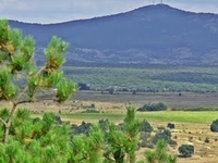 Sakar Valley