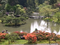 Seattle Japanese Garden Seattle Japanese Garden