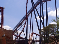 SheiKra