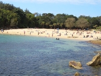 Shelly Beach Shelly Beach