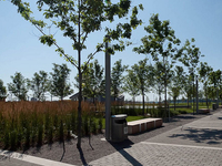 Sherbourne Common
