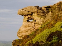 Tosson Hill Tosson Hill