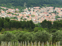 Smokvica Smokvica