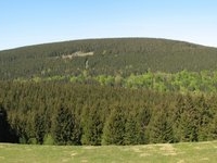 Rehberg
