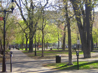 Saint-Louis Square