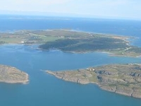 Storfosna