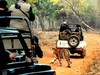 Tadoba Safari Package 2 Days