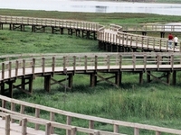 Bouctouche