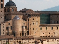 Urbino