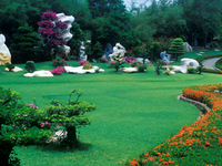 The Million-Year Stone Park and Crocodile Farm The Million-Year Stone Park and Crocodile Farm