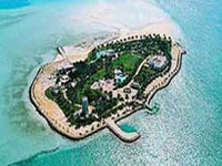 The Palm Tree Island