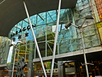 The Paragon