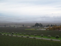 Sonoma Valley