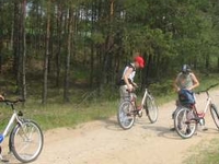 The Wizna Swamp trail