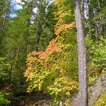 Thunder Knob Trail