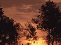 Thung Salaeng Luang National Park