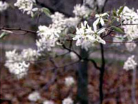 Tinkers Creek State Park Tinkers Creek State Park