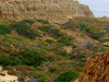 Torrey Pines State Reserve