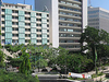 San Pedro Sula