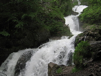 Trefflingfall