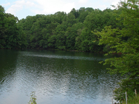Triadelphia Reservoir Triadelphia Reservoir