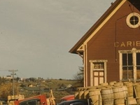 Caribou