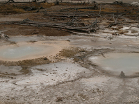 Twin Geysers Twin Geysers