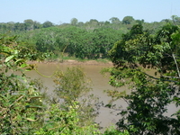 Tambopata River
