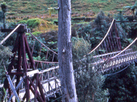 Tangarakau River Tangarakau River
